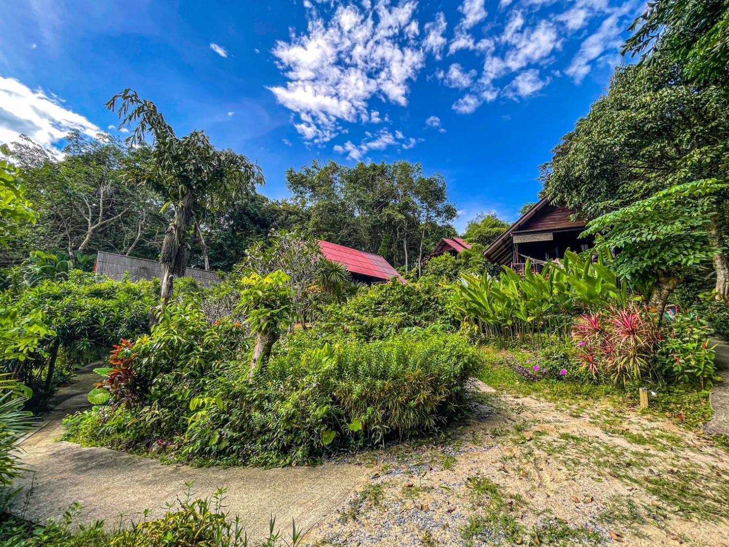 Hillhouse - Koh Yao Noi Bed and Breakfast Eksteriør billede